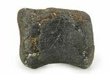 Rare, Theropod Dinosaur Vertebra - Isle of Wight, England #351238-2